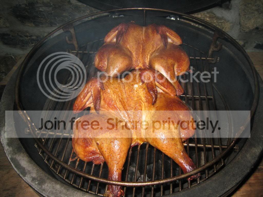 BigGreeneggPhotos.jpg
