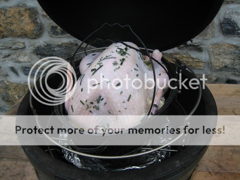 BigGreeneggPhotos004.jpg