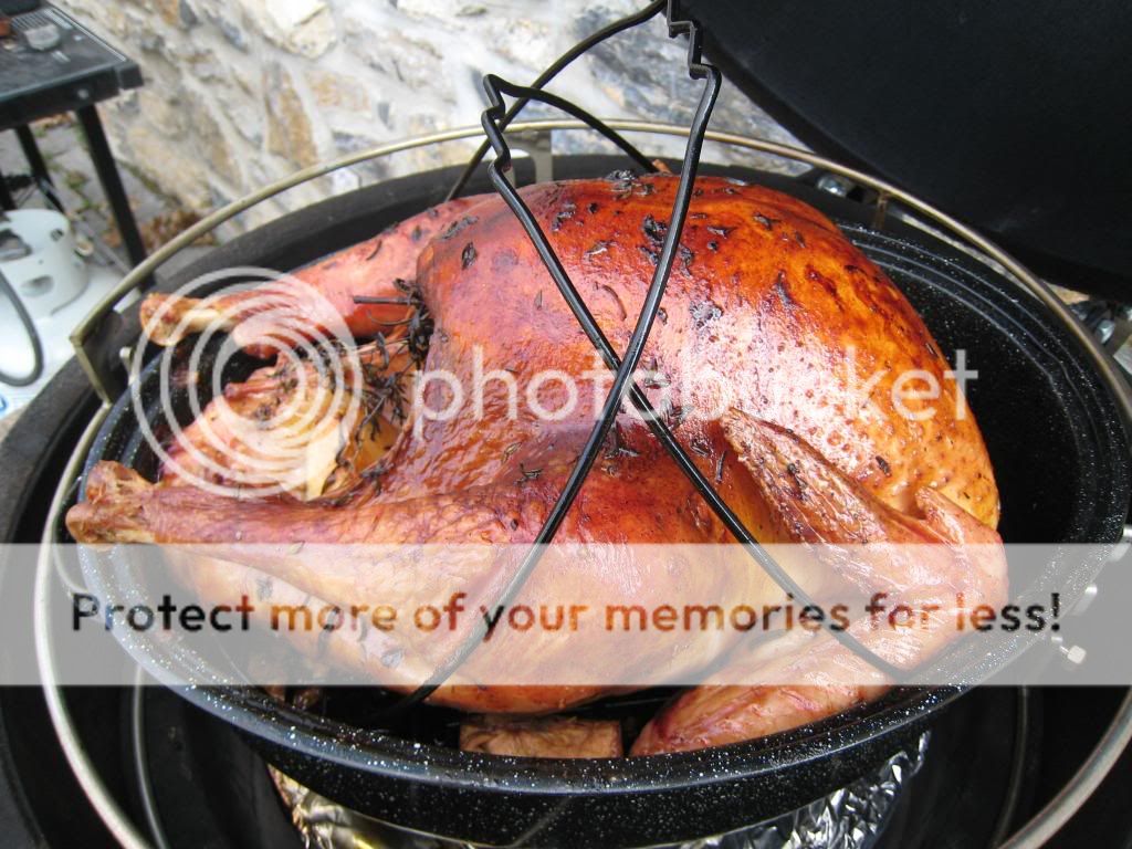BigGreeneggPhotos008.jpg