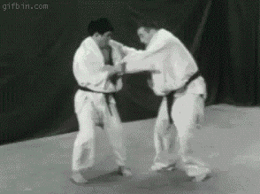 judo trick