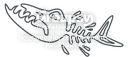 Barracuda Logo