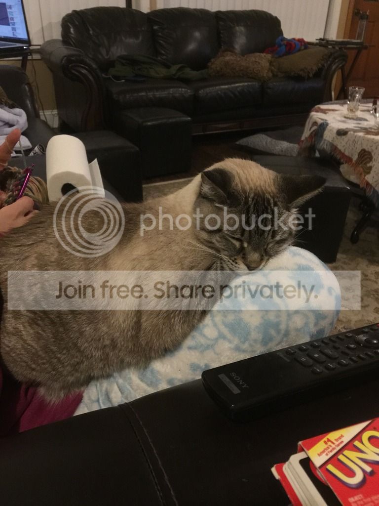  photo IMG_8510_zpsyvklfwee.jpg