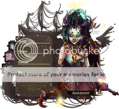 User Image