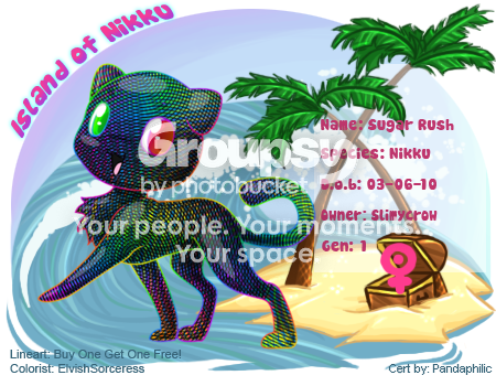 User Image