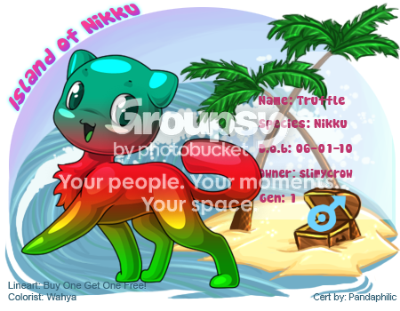 User Image
